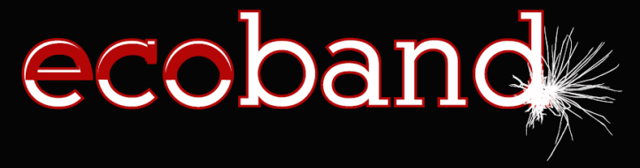 Ecoband Logo negro