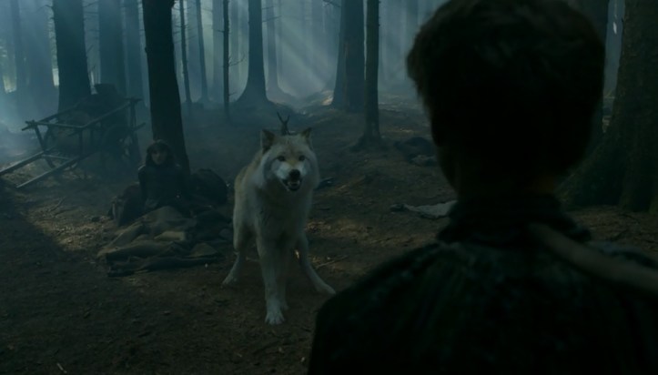 Verano también ha crecido