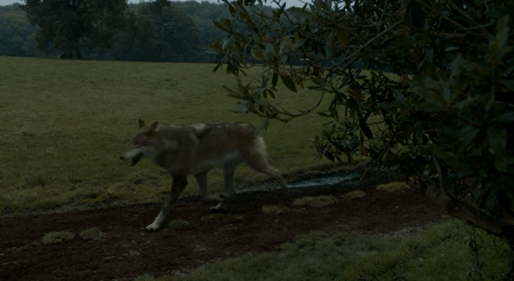 juego de tronos 3x09 02 viento gris