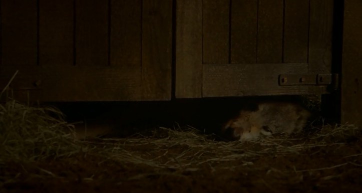 Pobre Viento Gris... :(