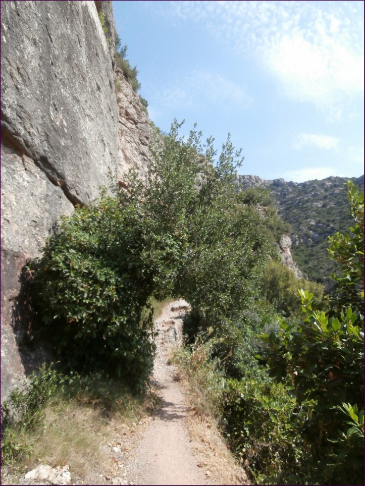 Detalle del camino (luego se pondría la cosa más fea con piedras y tal)