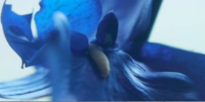 CORRECT-SIZE-Upstream-Color-2