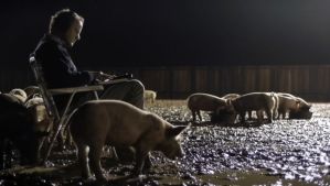 upstream-color-pigs-the-sampler-620x