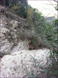 ...y así hacia abajo