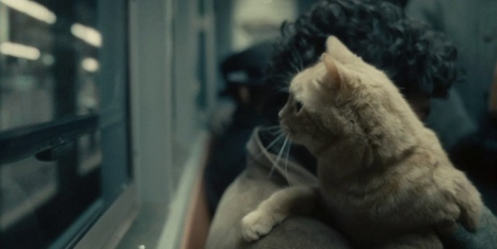 inside llewyn davis metro cat1