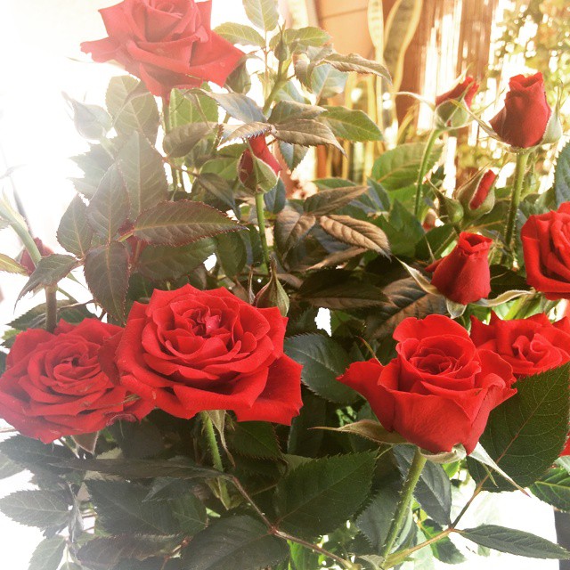 11174760_10206685758842888_3615140759857089447_n