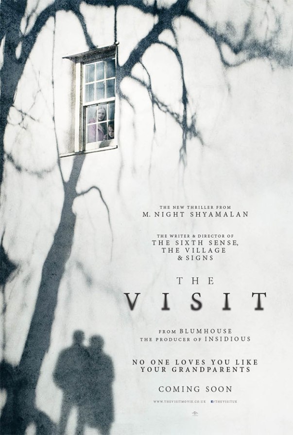 la visita poster